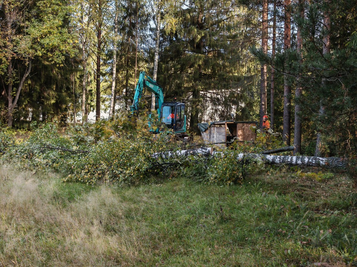Katvalan katveessa - hanke käynnistyy puiden kaadolla